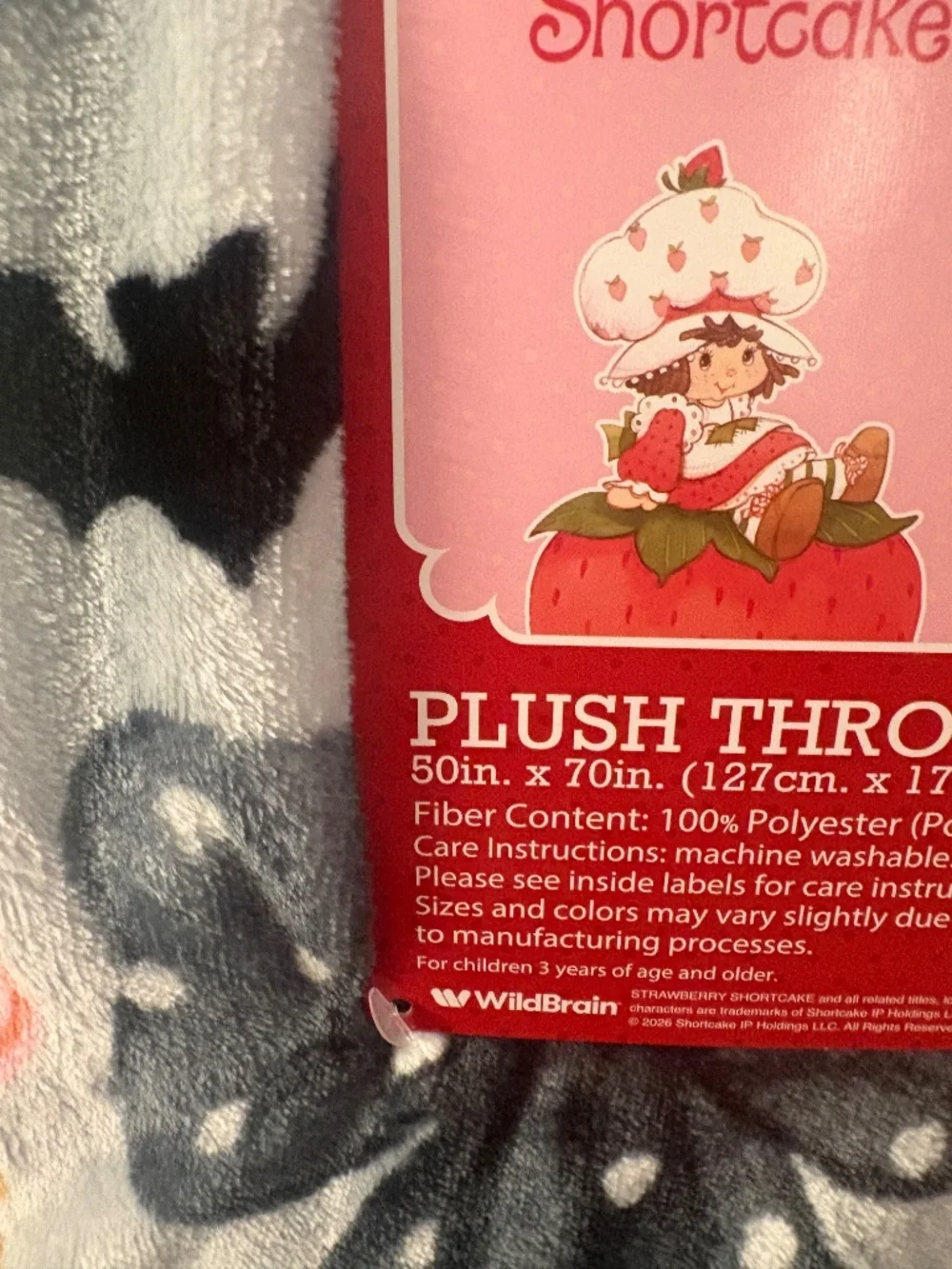 2026 Brand New Strawberry Shortcake Halloween Bows Bats Blanket